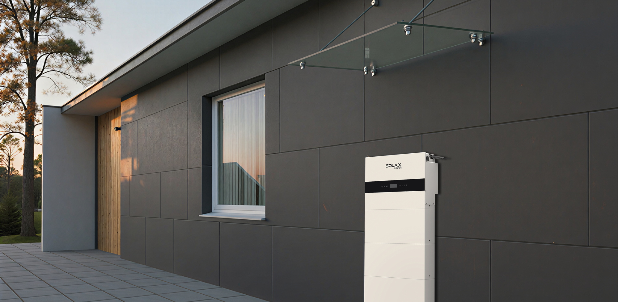 Home Energy Storage Systems (ESS)